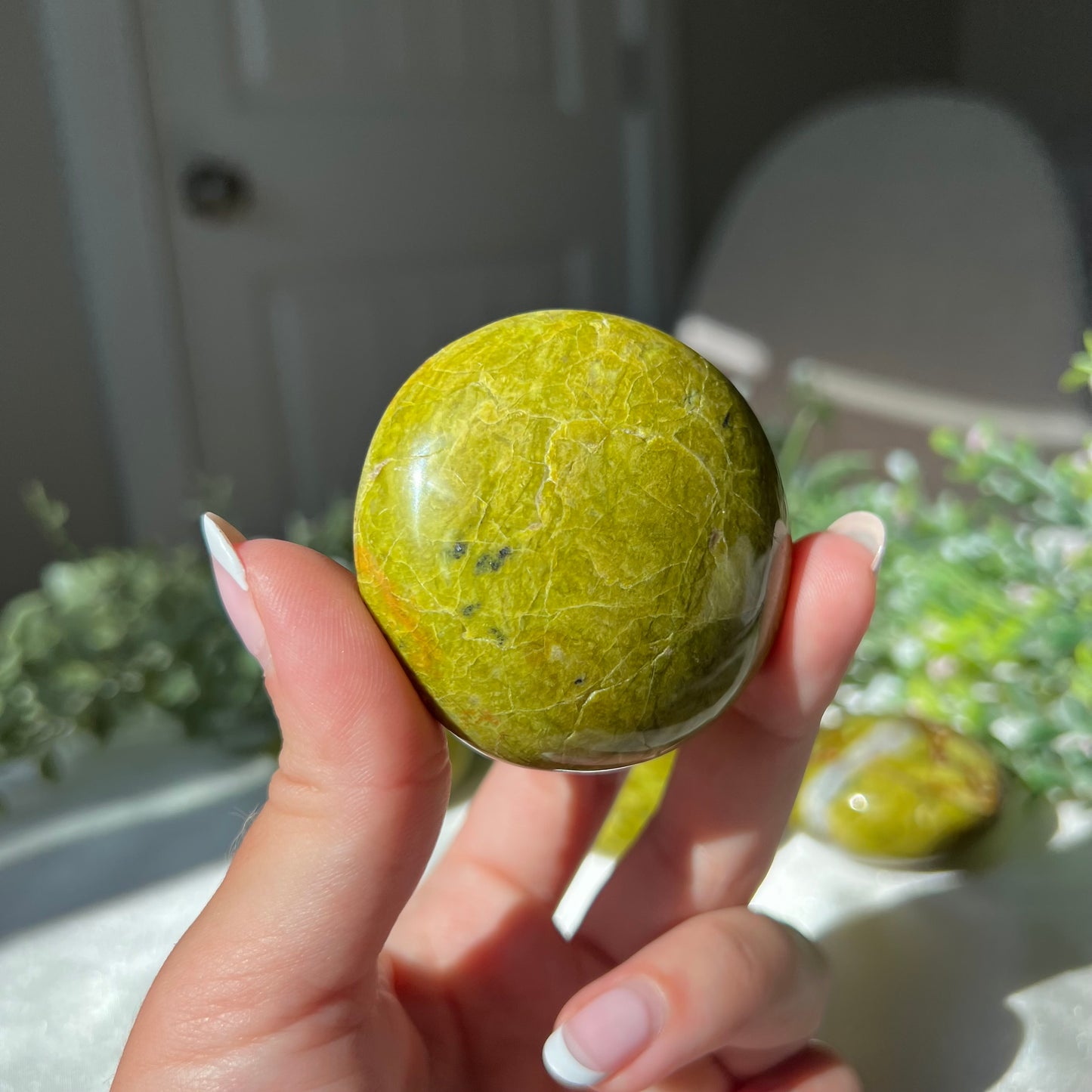 Exotic Green Opal Palm Stone from Madagascar