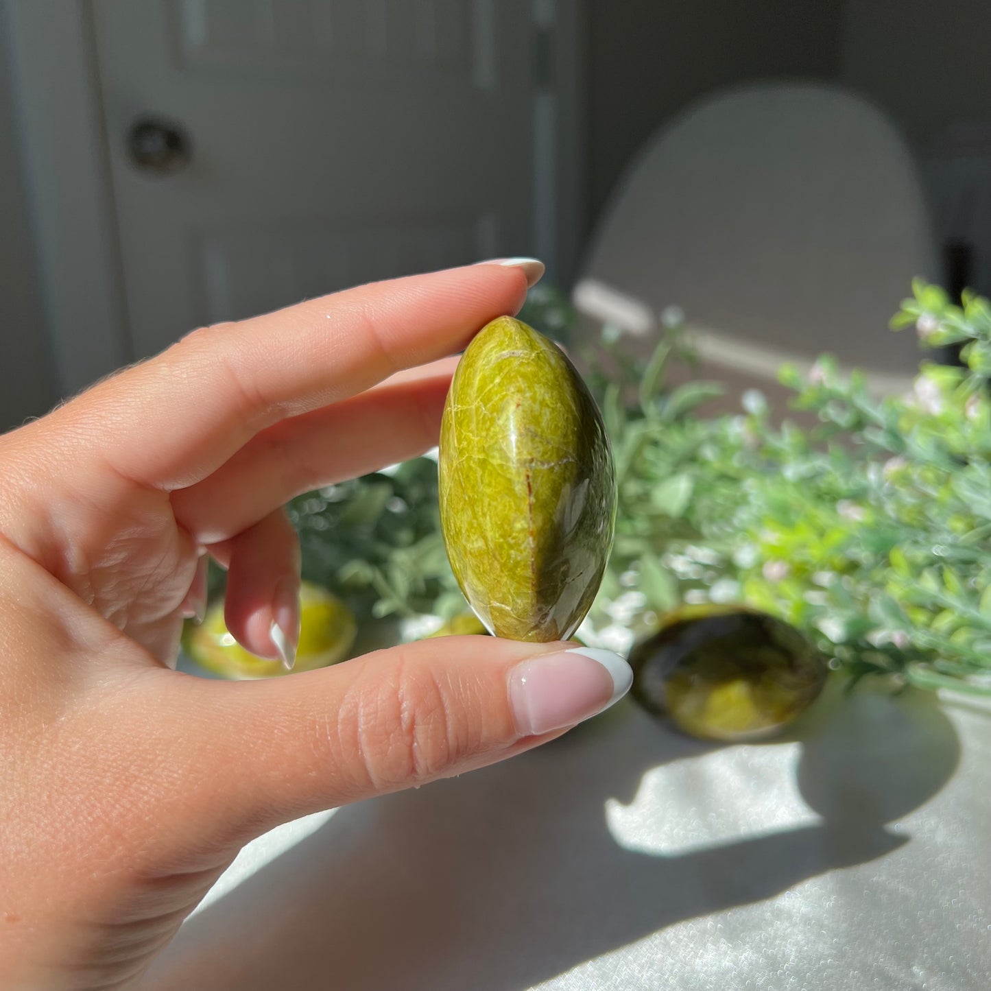 Exotic Green Opal Palm Stone from Madagascar