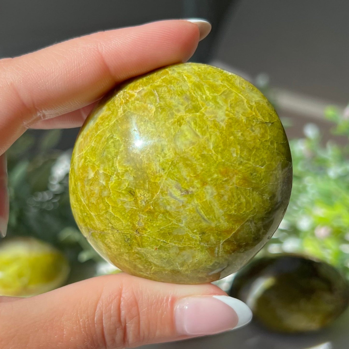 Exotic Green Opal Palm Stone from Madagascar