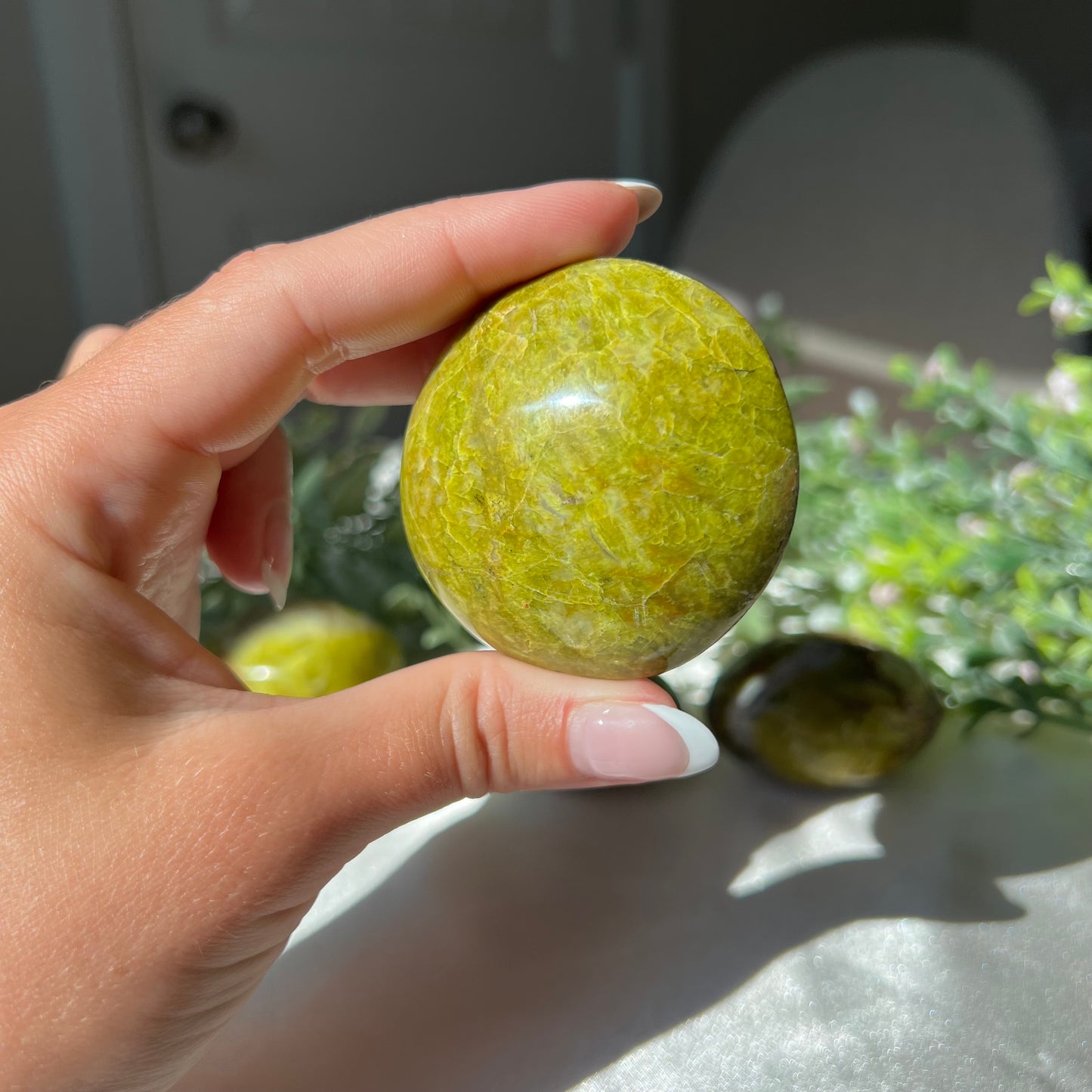 Exotic Green Opal Palm Stone from Madagascar