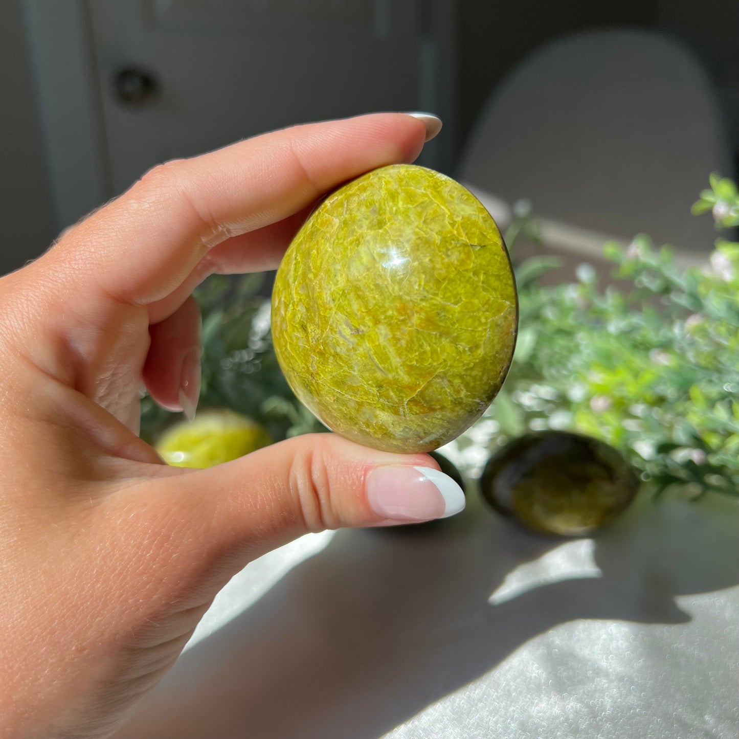 Exotic Green Opal Palm Stone from Madagascar