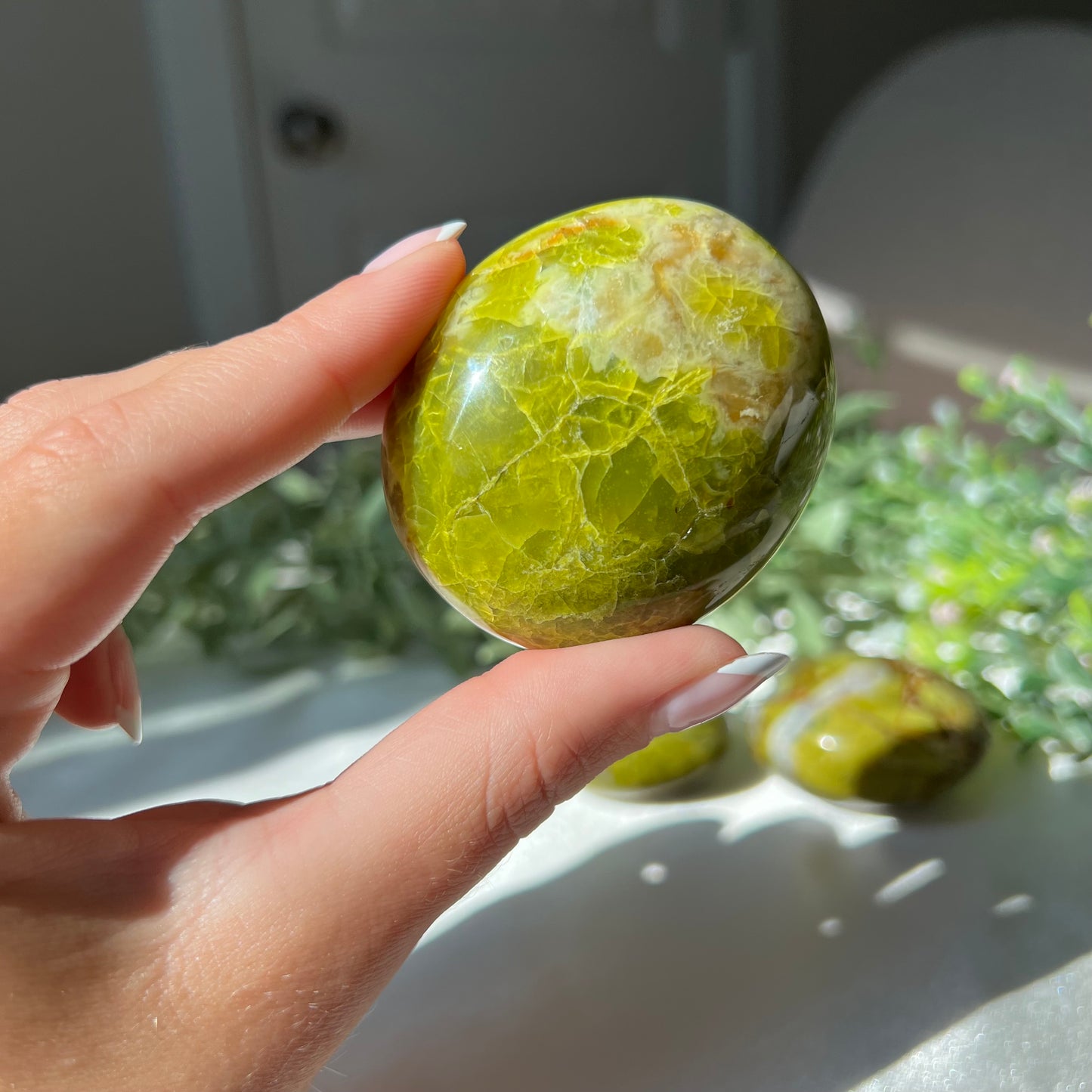 Exotic Green Opal Palm Stone from Madagascar