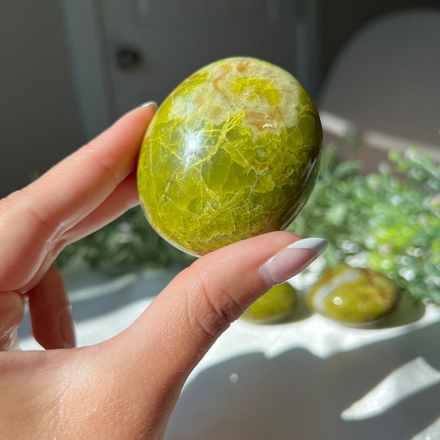 Exotic Green Opal Palm Stone from Madagascar