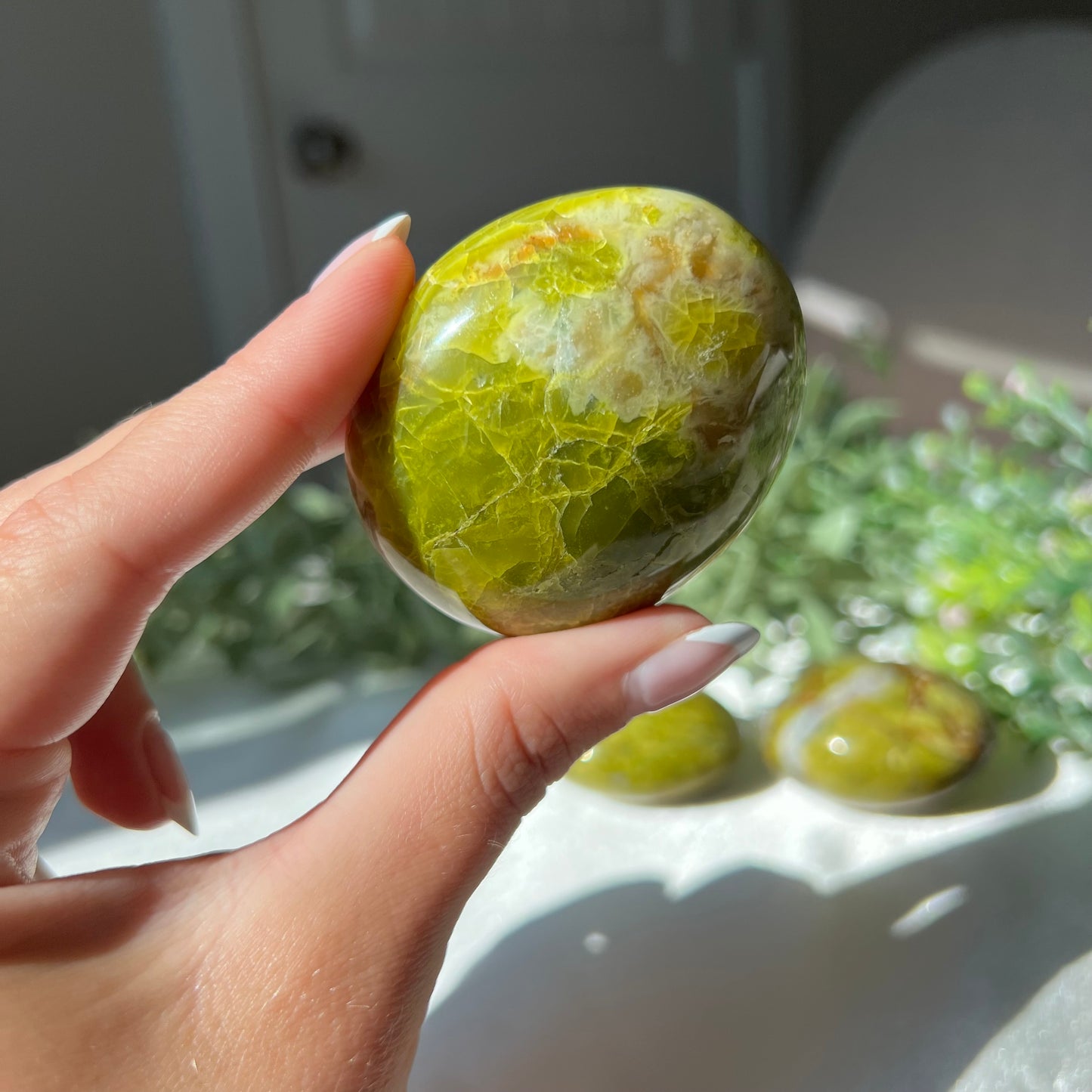 Exotic Green Opal Palm Stone from Madagascar