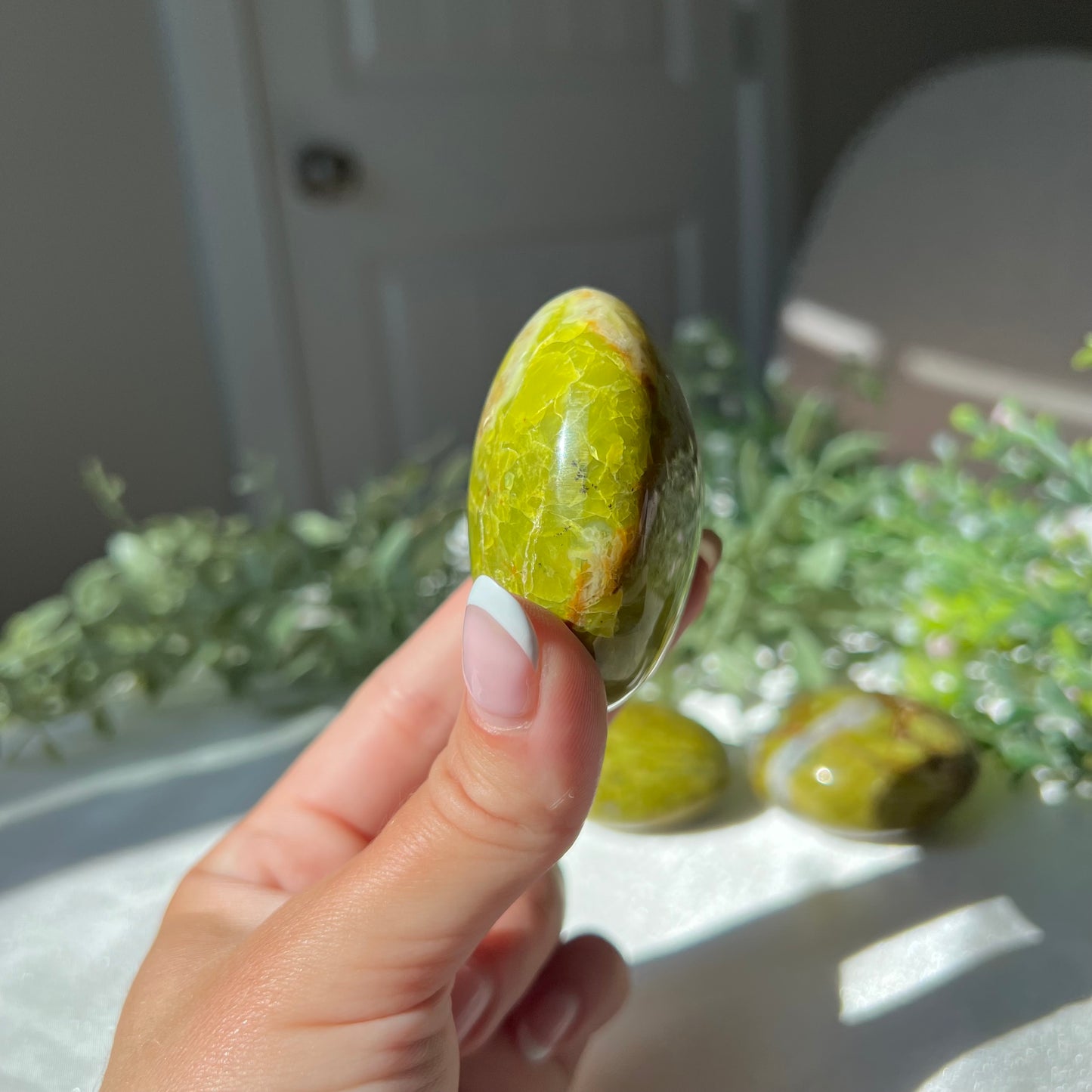 Exotic Green Opal Palm Stone from Madagascar