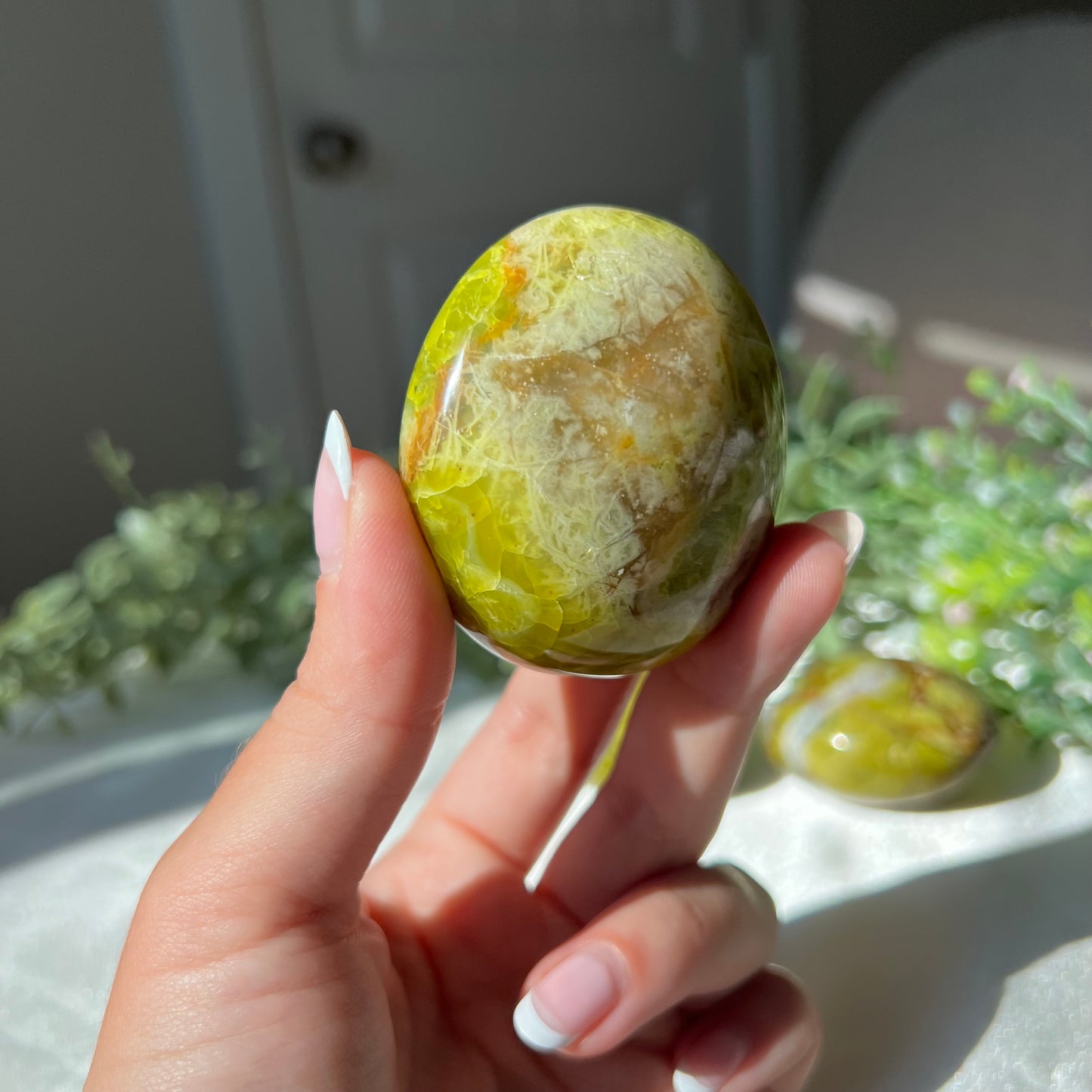 Exotic Green Opal Palm Stone from Madagascar