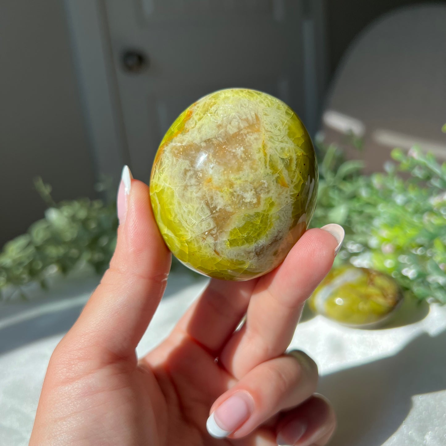 Exotic Green Opal Palm Stone from Madagascar