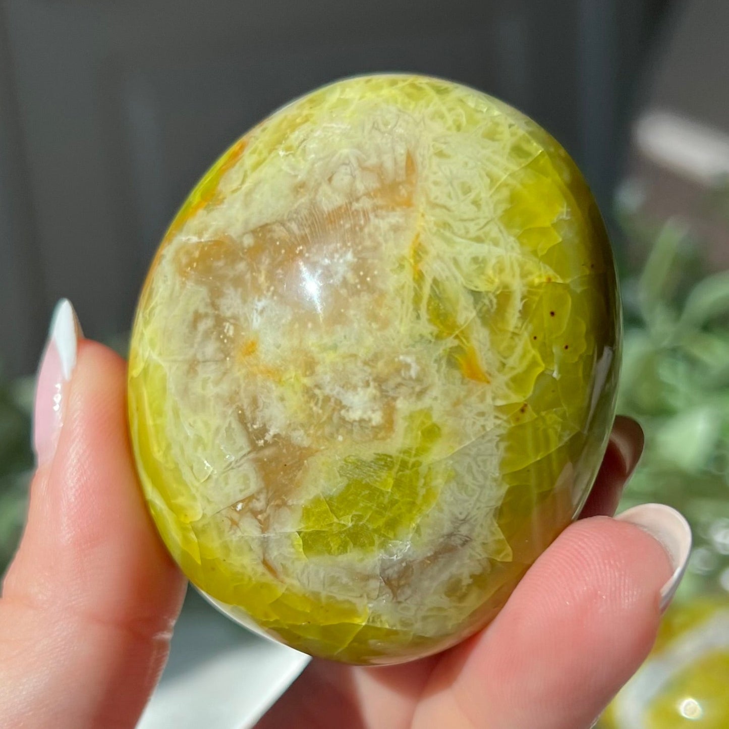 Exotic Green Opal Palm Stone from Madagascar