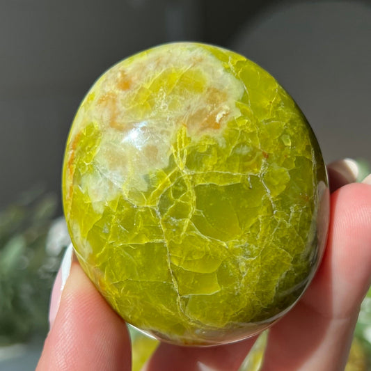 Exotic Green Opal Palm Stone from Madagascar