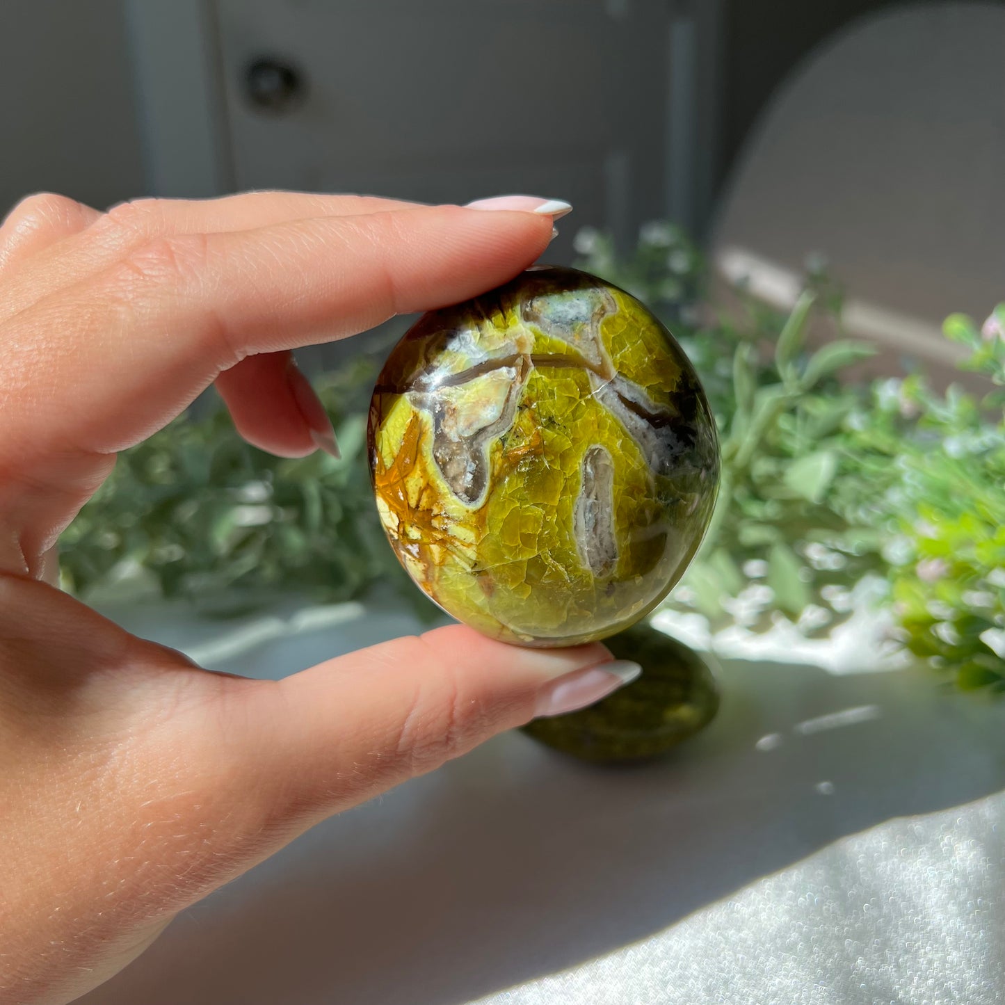 Exotic Green Opal Palm Stone from Madagascar