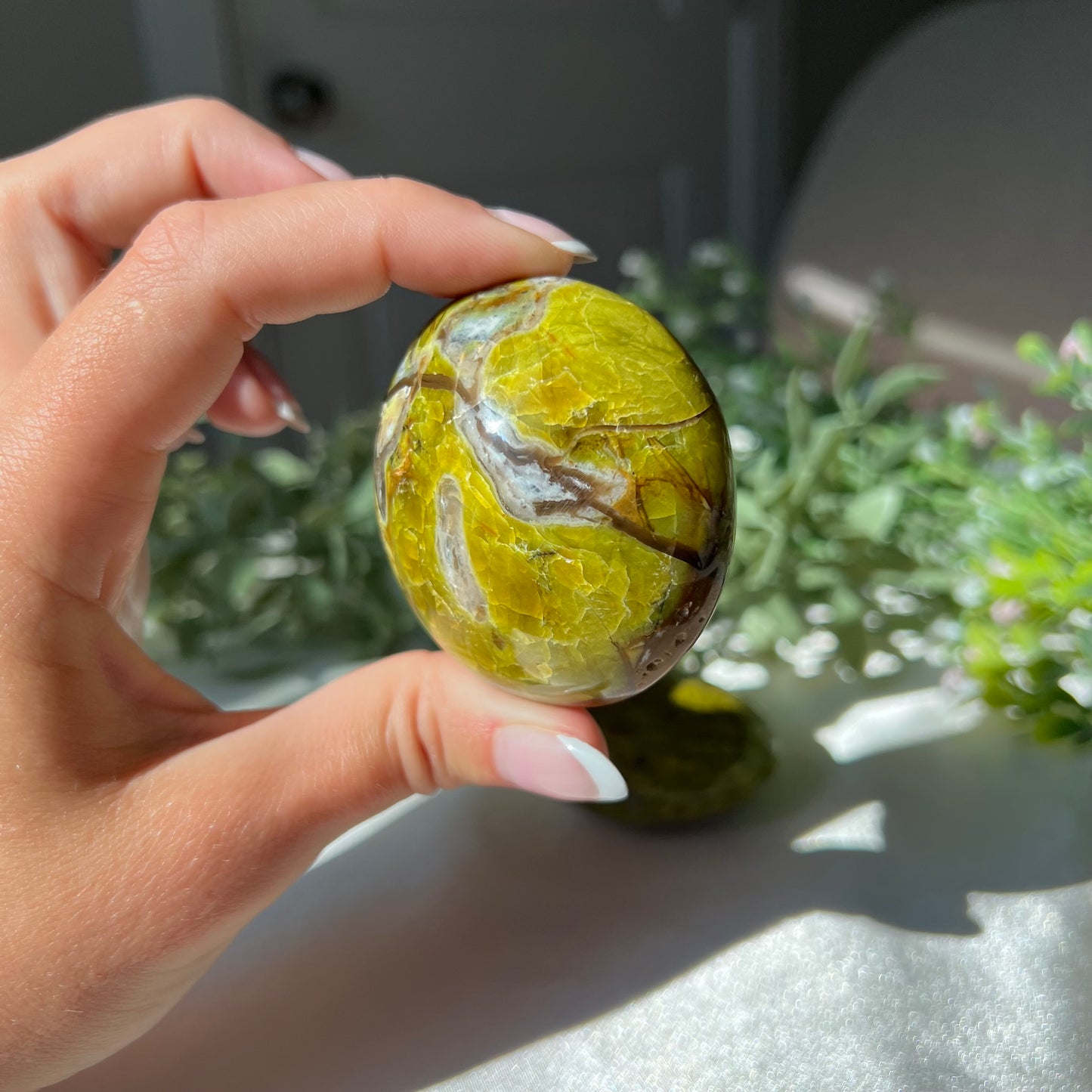 Exotic Green Opal Palm Stone from Madagascar