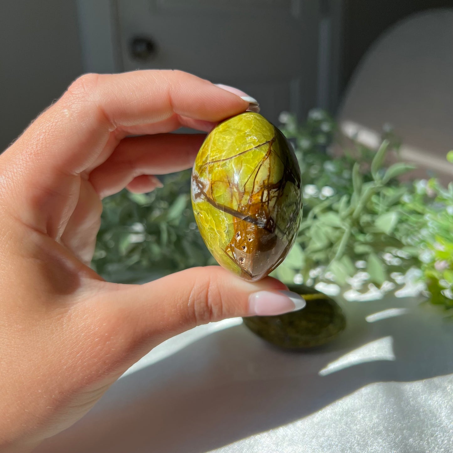 Exotic Green Opal Palm Stone from Madagascar