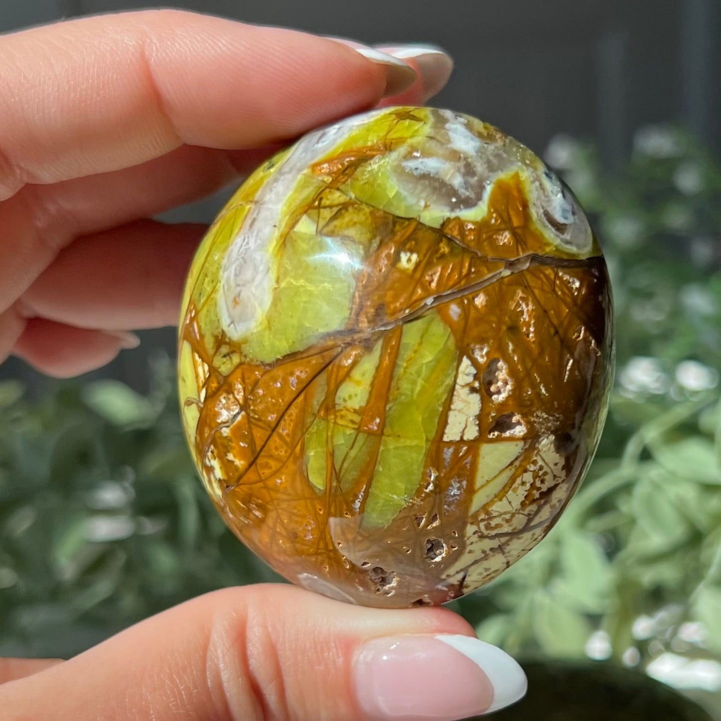 Exotic Green Opal Palm Stone from Madagascar