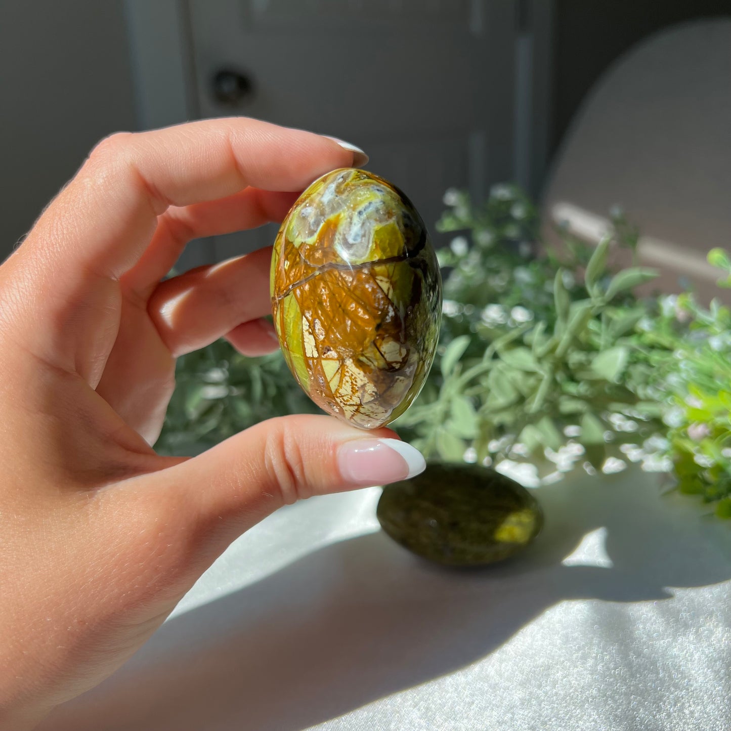 Exotic Green Opal Palm Stone from Madagascar