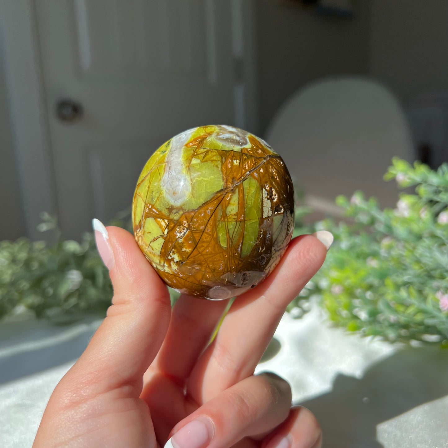 Exotic Green Opal Palm Stone from Madagascar