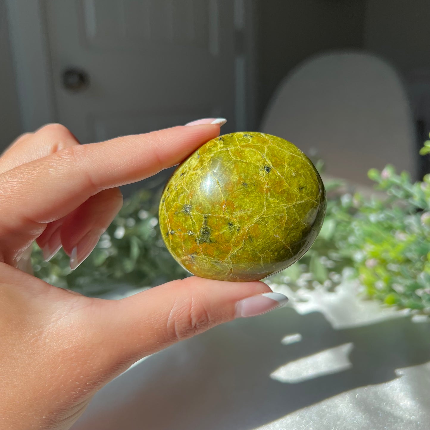 Exotic Green Opal Palm Stone from Madagascar