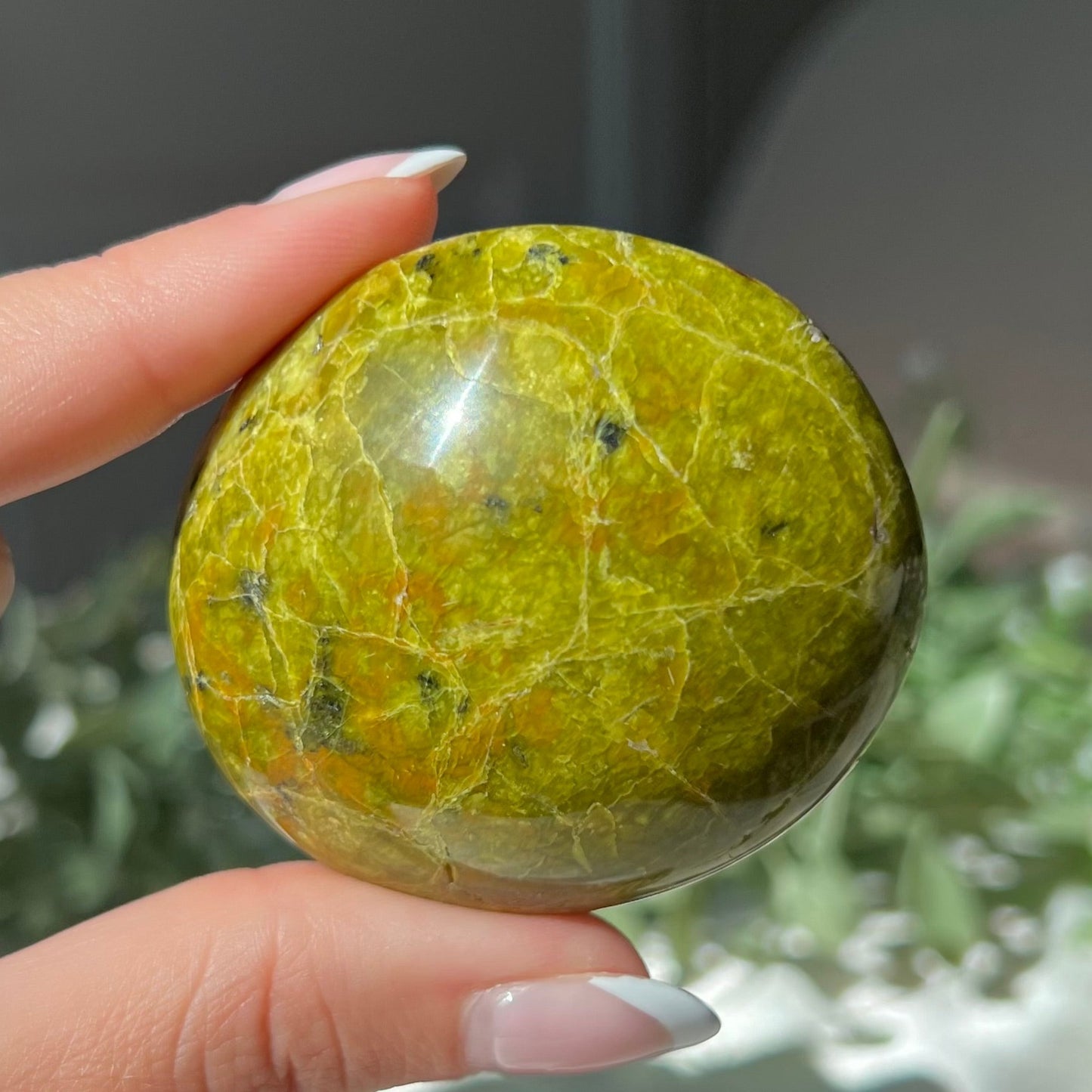 Exotic Green Opal Palm Stone from Madagascar