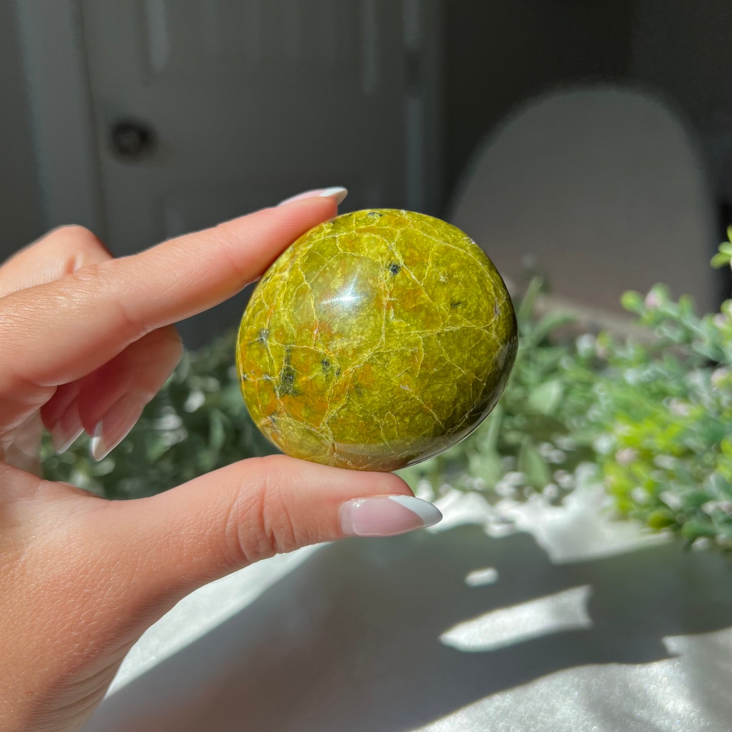 Exotic Green Opal Palm Stone from Madagascar