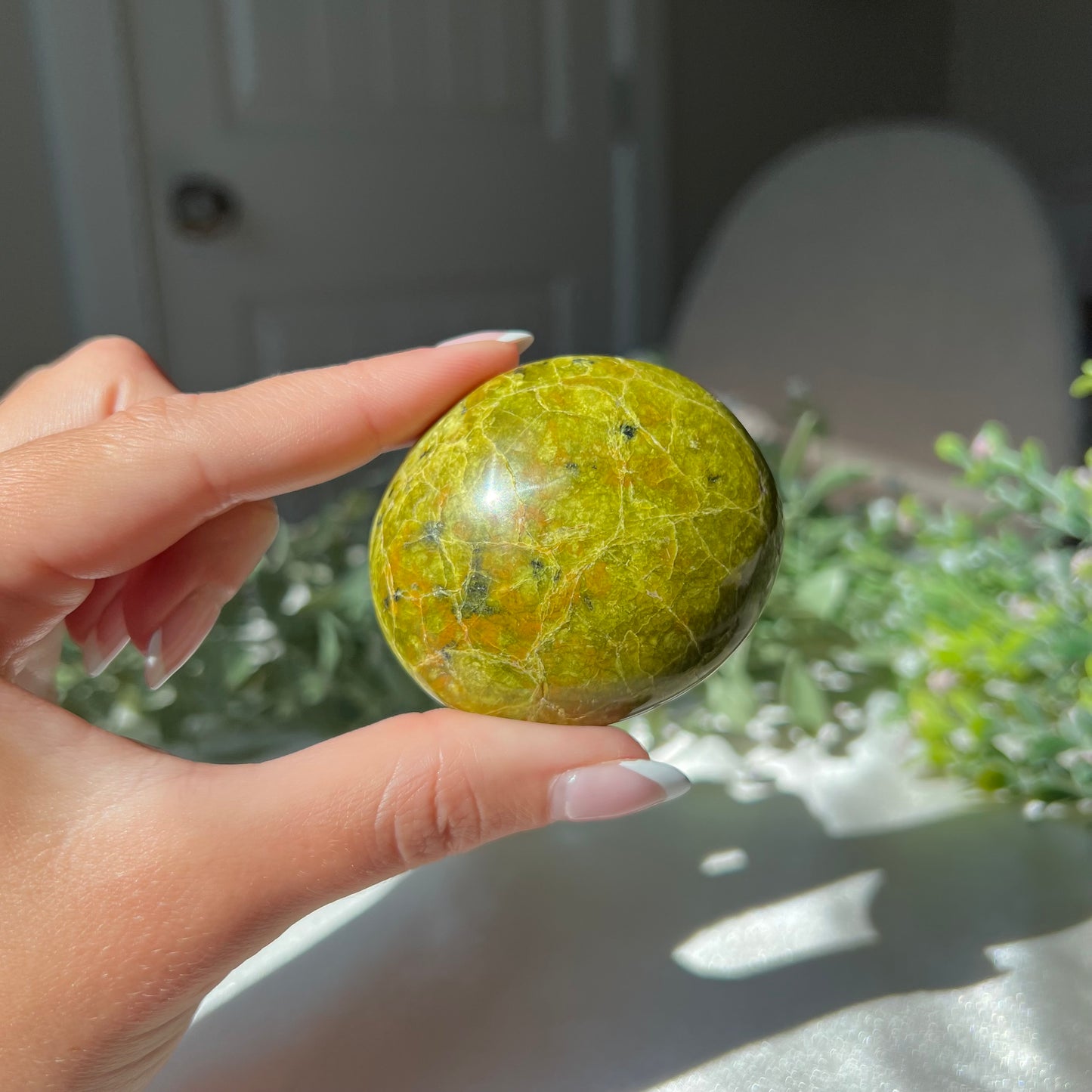 Exotic Green Opal Palm Stone from Madagascar