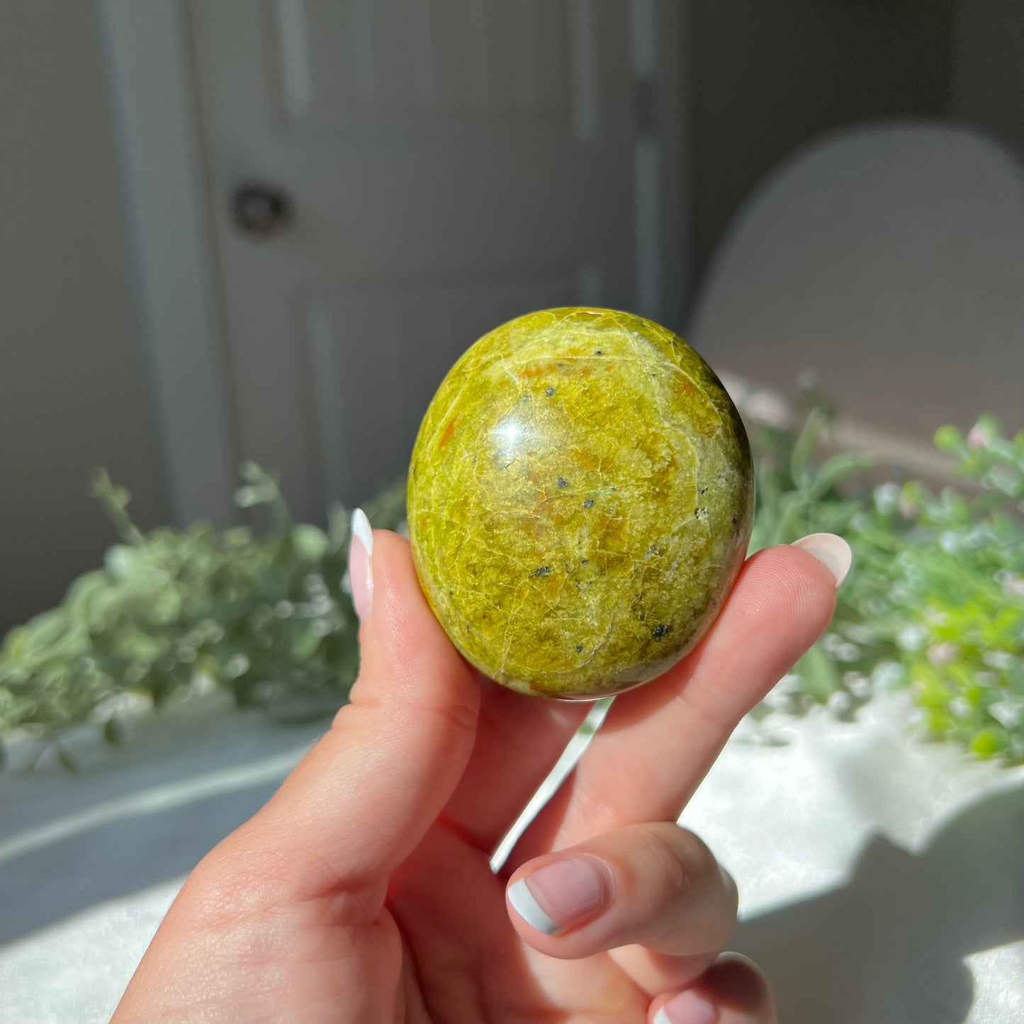 Exotic Green Opal Palm Stone from Madagascar