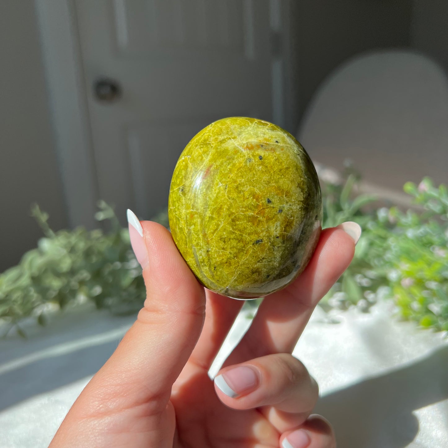 Exotic Green Opal Palm Stone from Madagascar