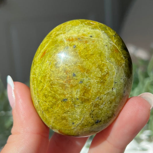 Exotic Green Opal Palm Stone from Madagascar