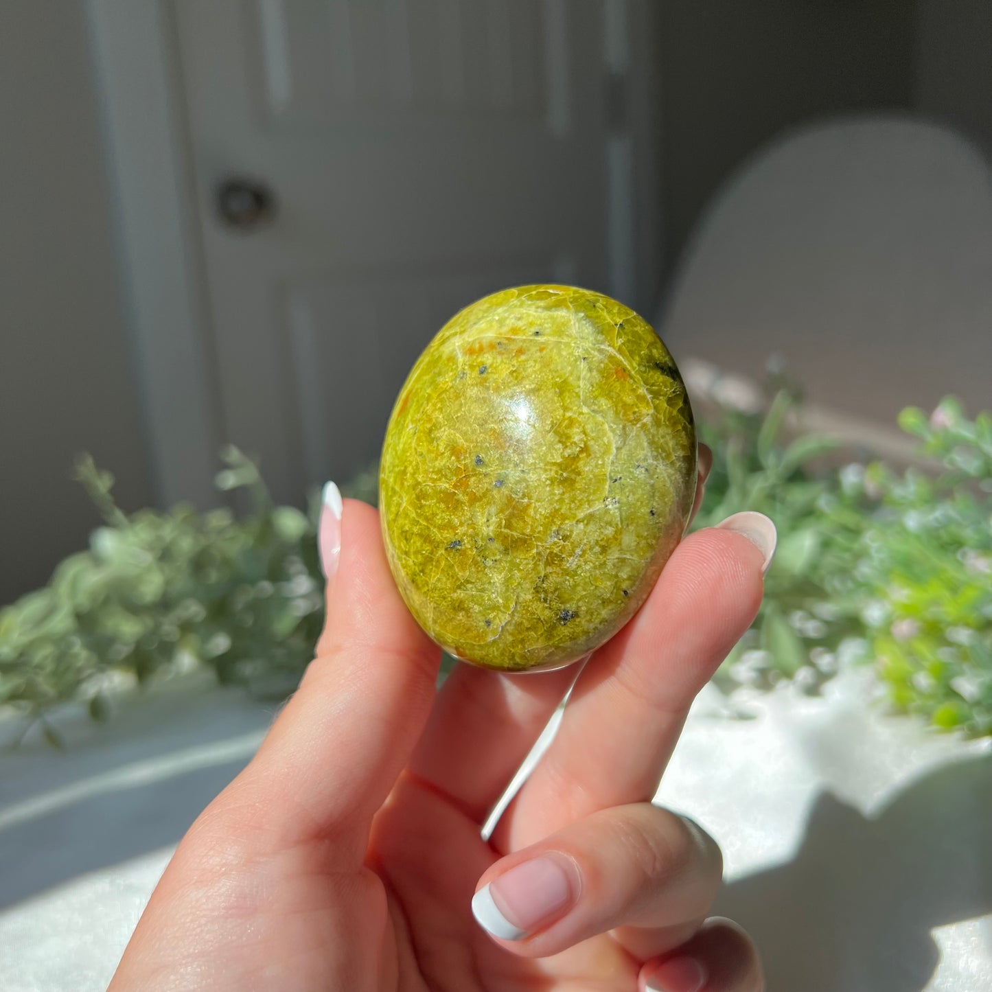 Exotic Green Opal Palm Stone from Madagascar