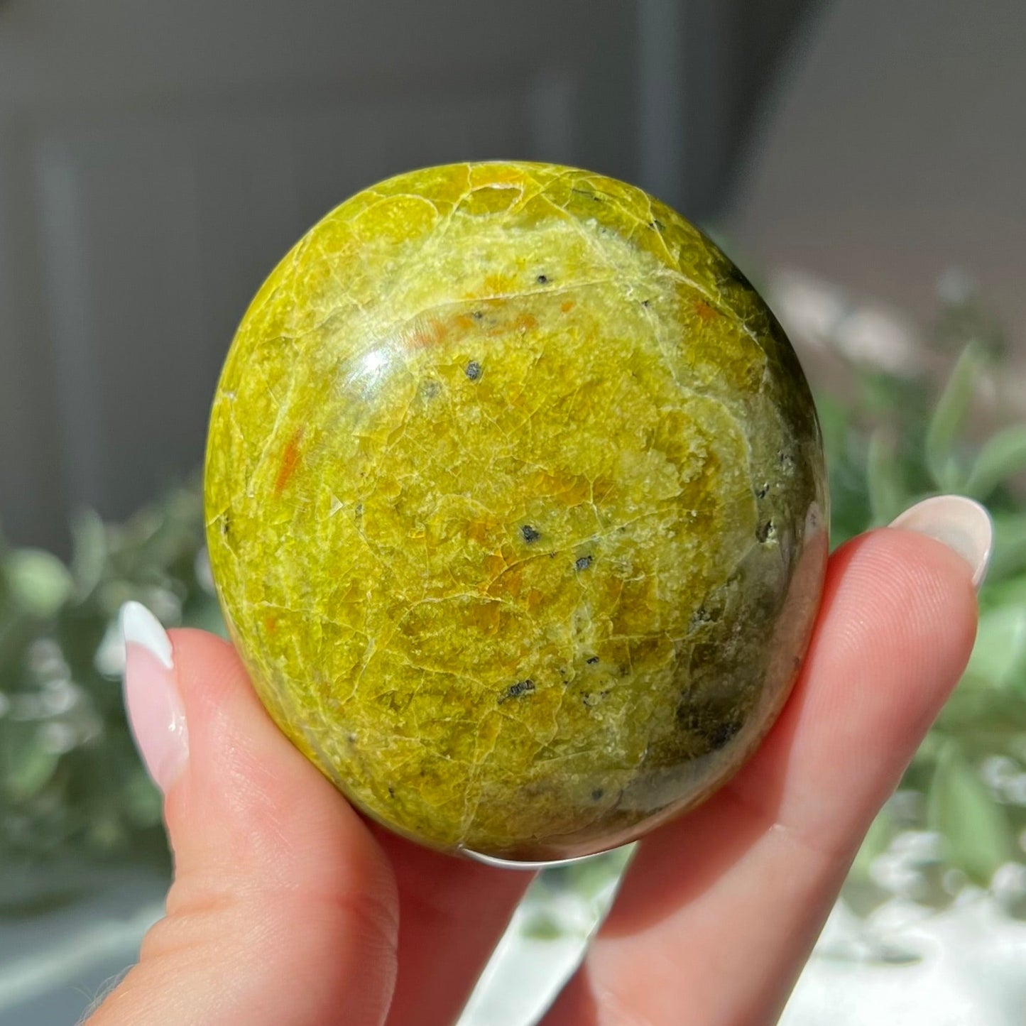 Exotic Green Opal Palm Stone from Madagascar