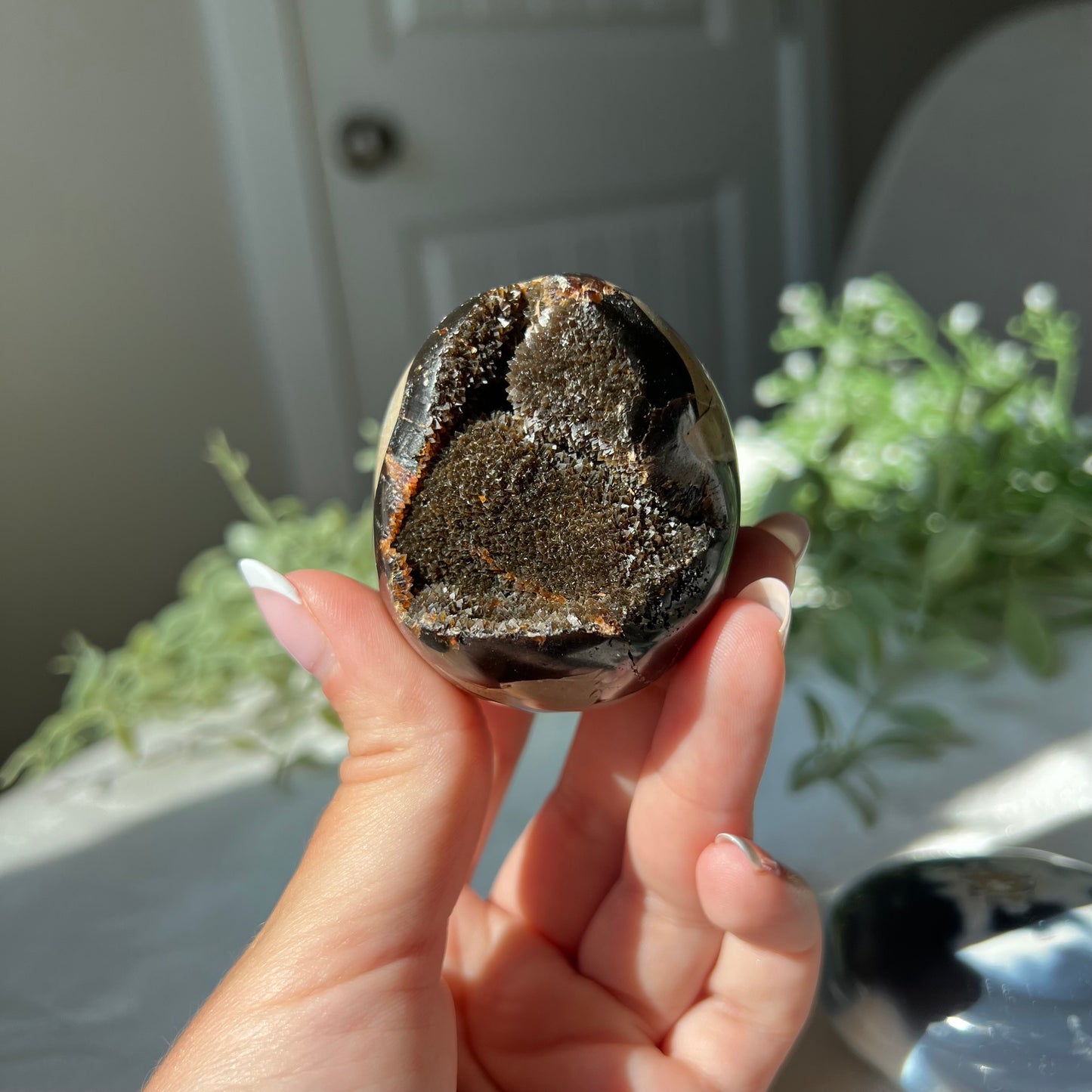 Septarian Egg from Madagascar