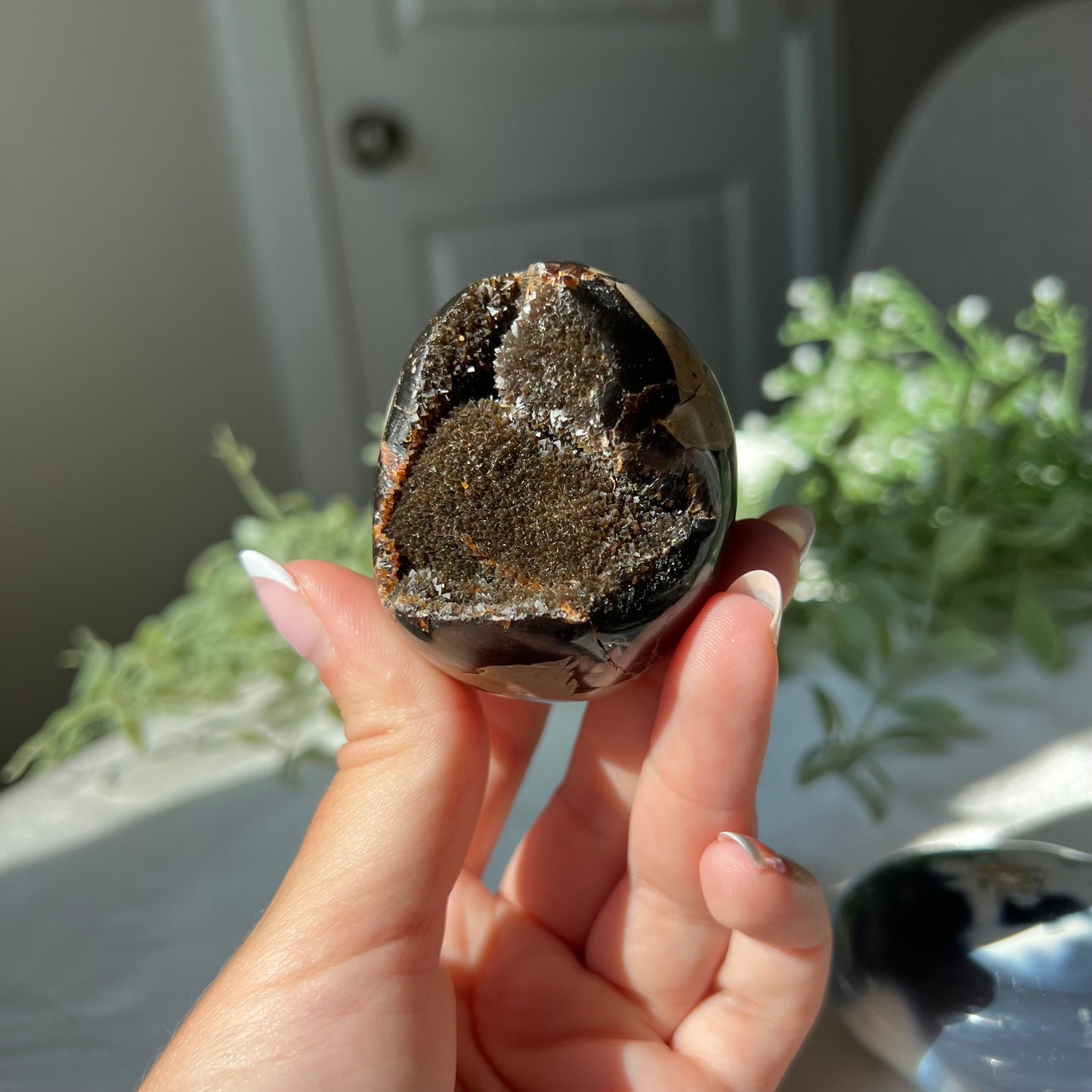 Septarian Egg from Madagascar