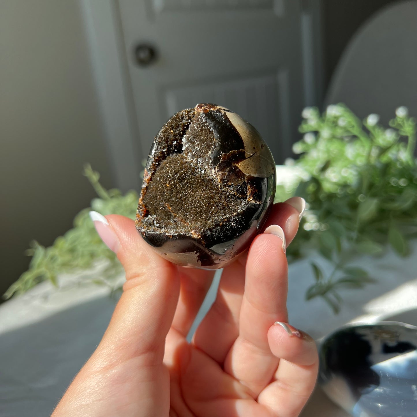 Septarian Egg from Madagascar