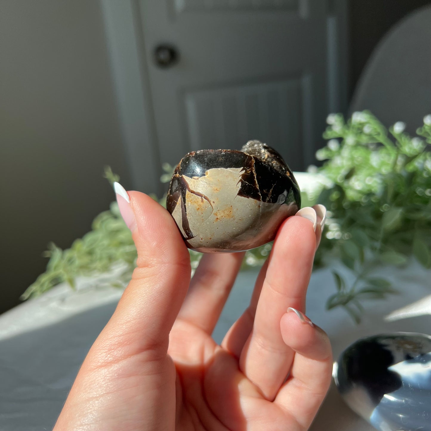 Septarian Egg from Madagascar