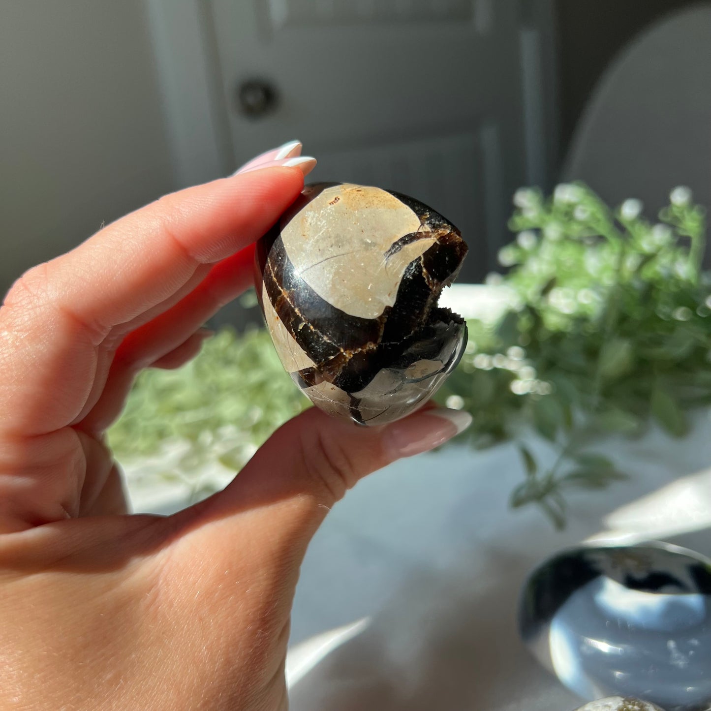 Septarian Egg from Madagascar