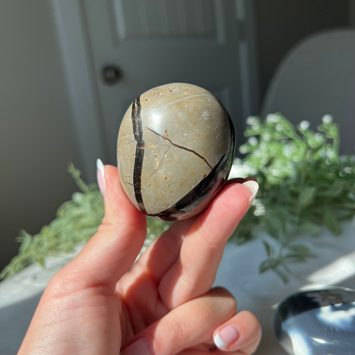 Septarian Egg from Madagascar