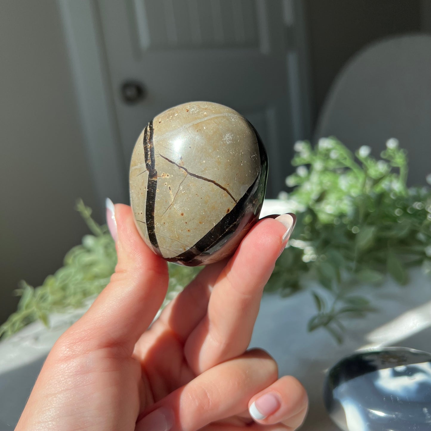 Septarian Egg from Madagascar