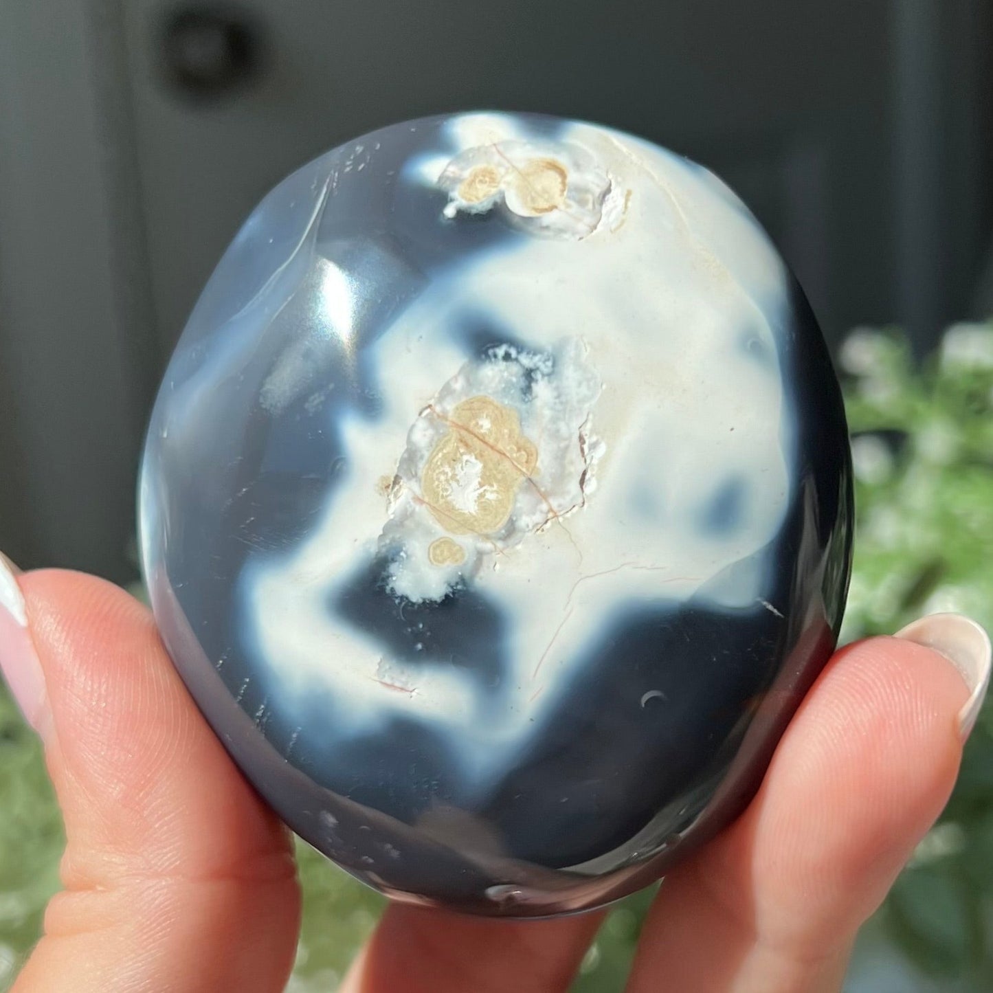 Orca Agate Palm Stone from Madagascar