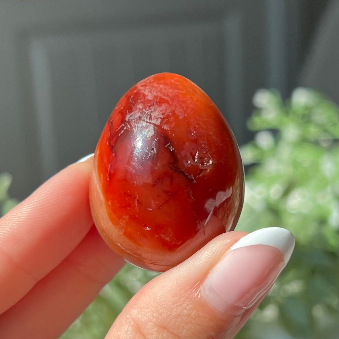 Carnelian Egg Carving with Druzzy