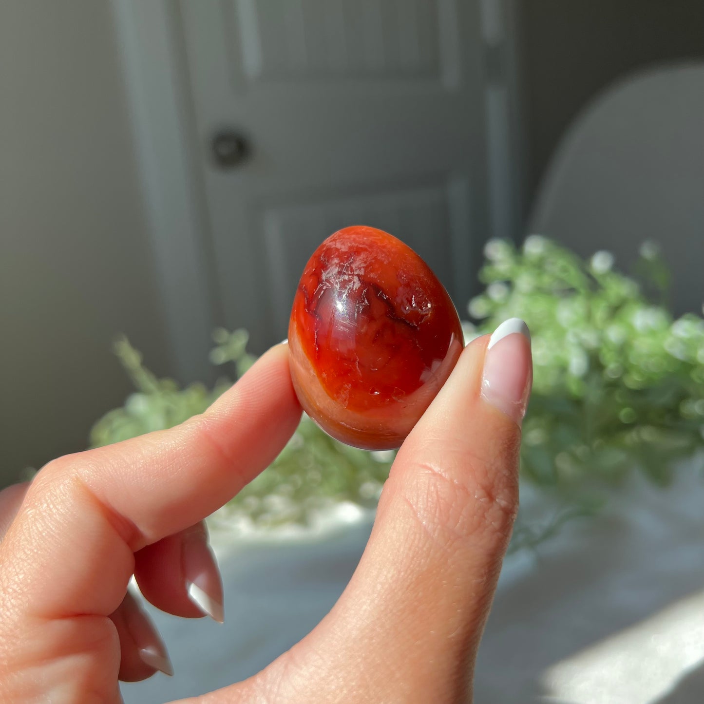 Carnelian Egg Carving with Druzzy