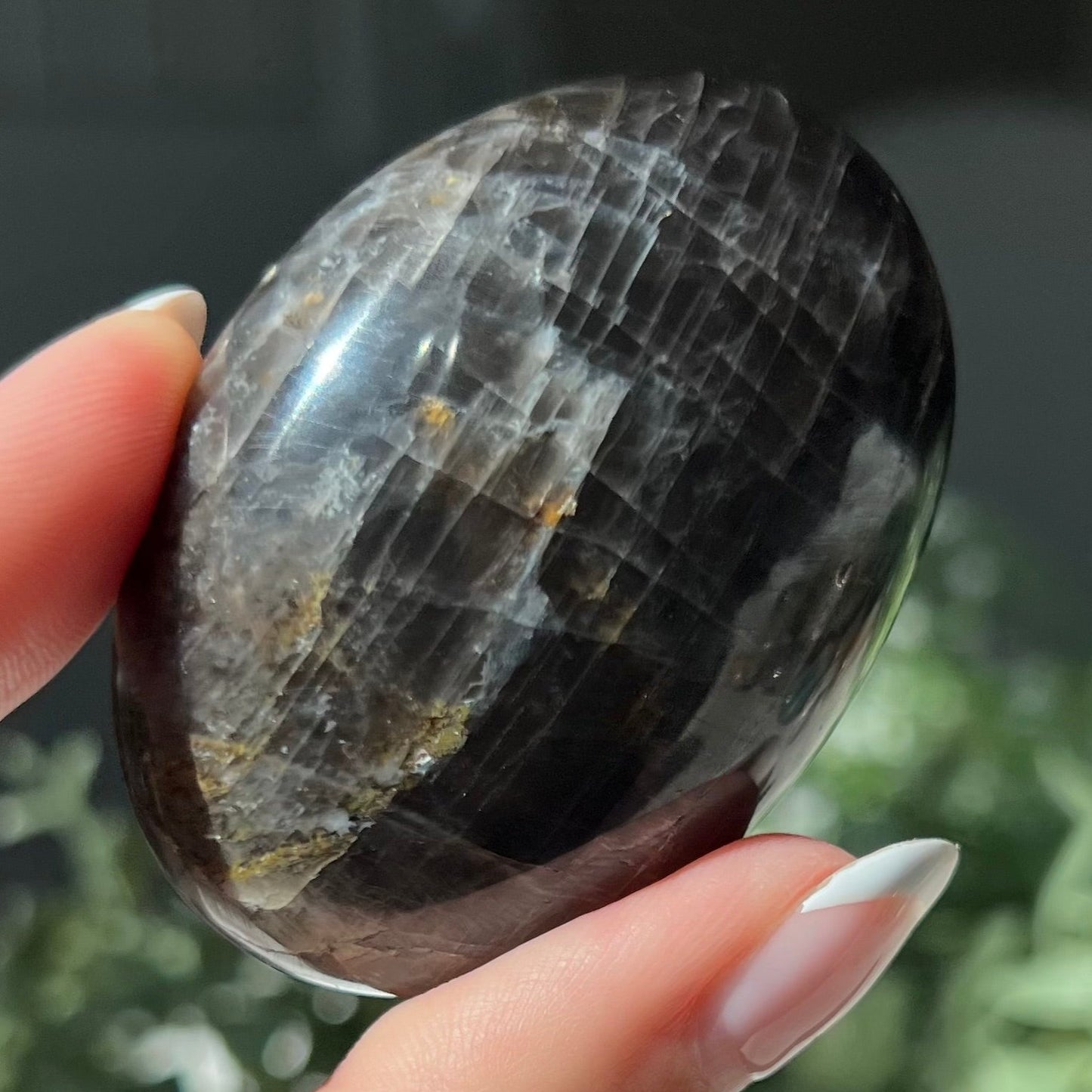 Black Moonstone Palm Stone from Madagascar