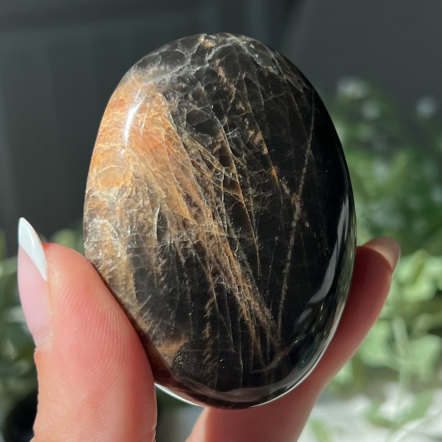 Black Moonstone Palm Stone from Madagascar