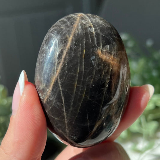 Black Moonstone Palm Stone from Madagascar