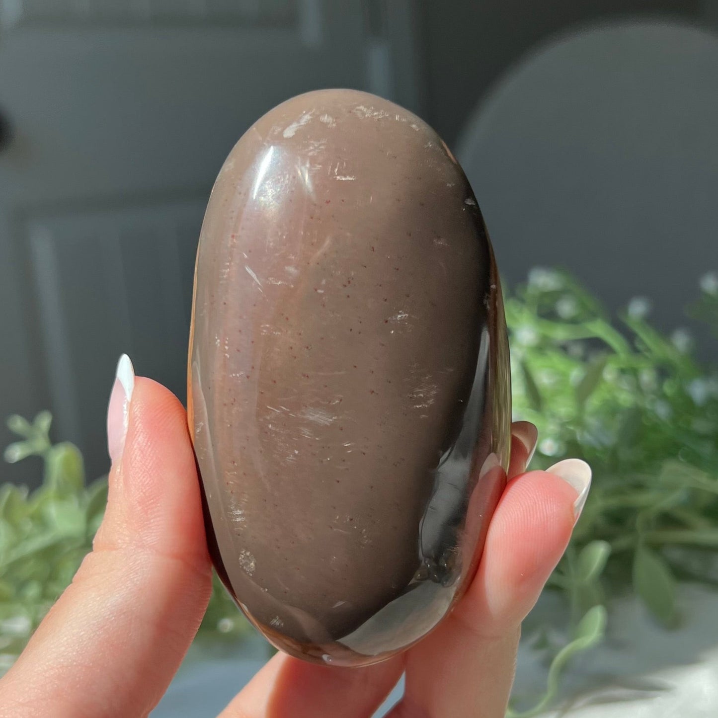 Polychrome Jasper Palm Stone from Madagascar