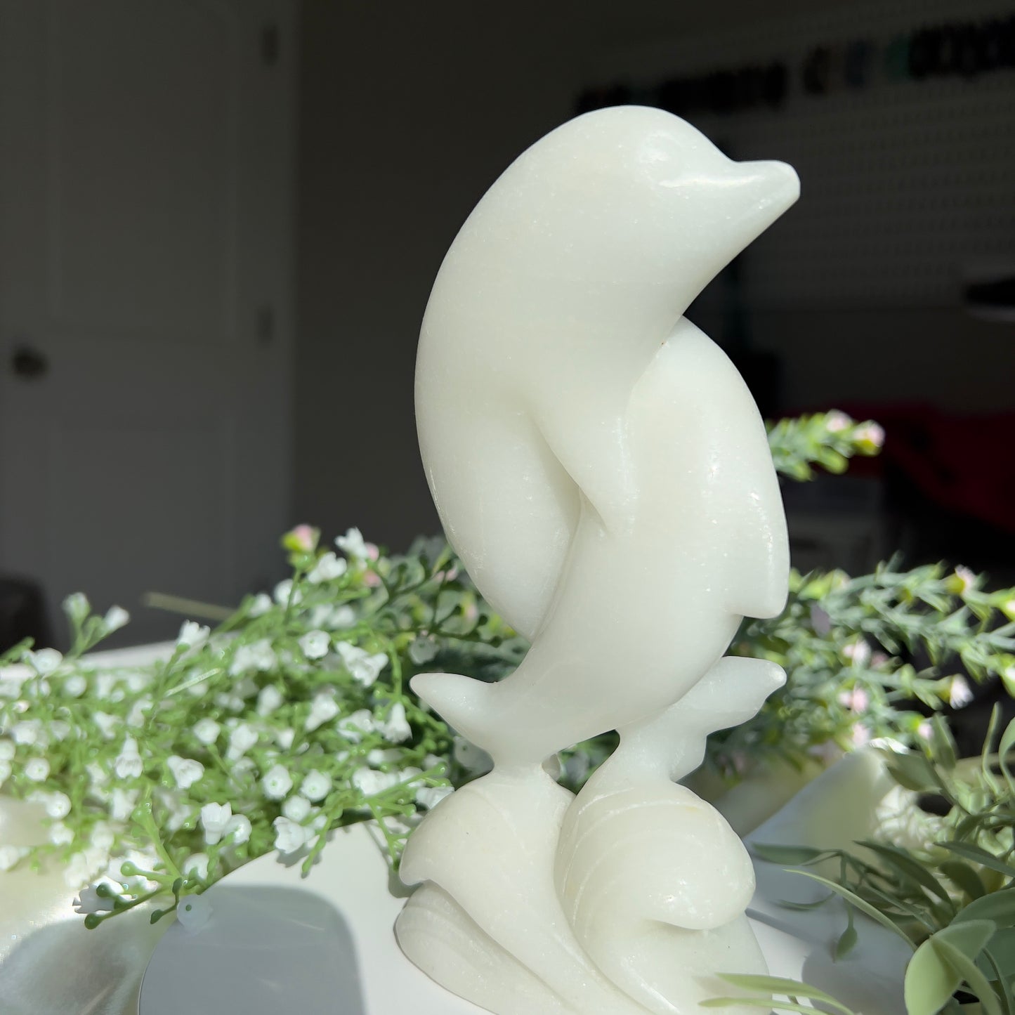 White Jade Dolphins