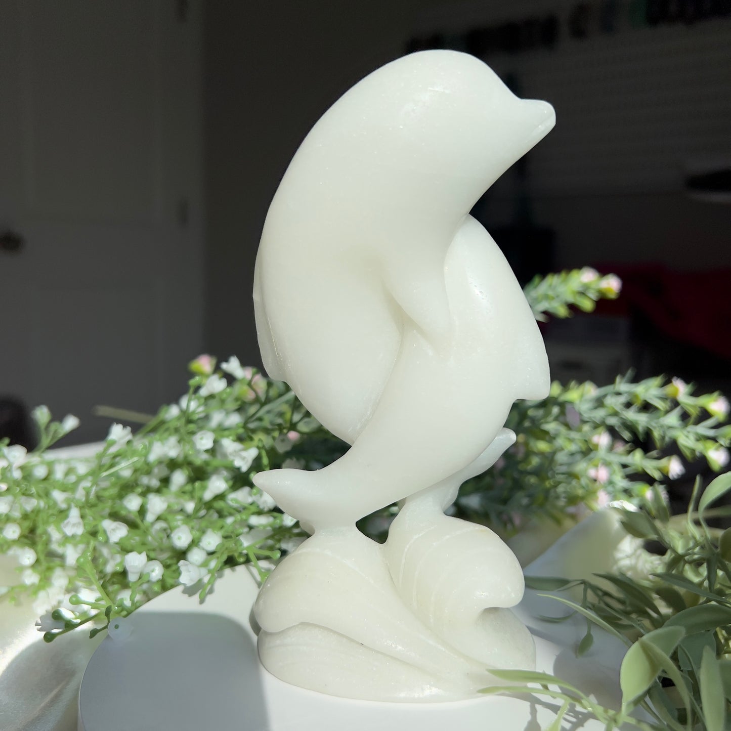 White Jade Dolphins