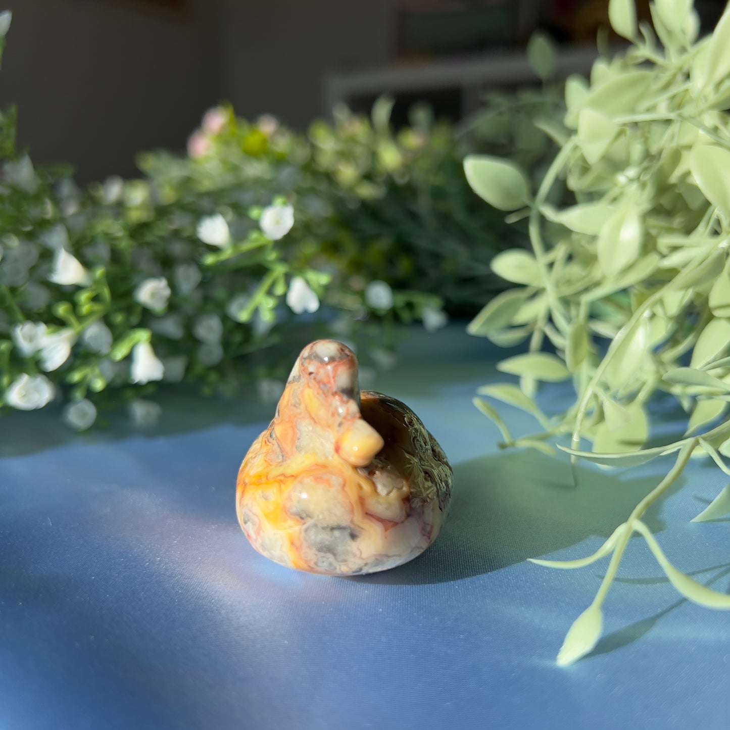 Crazy Lace Agate Duck