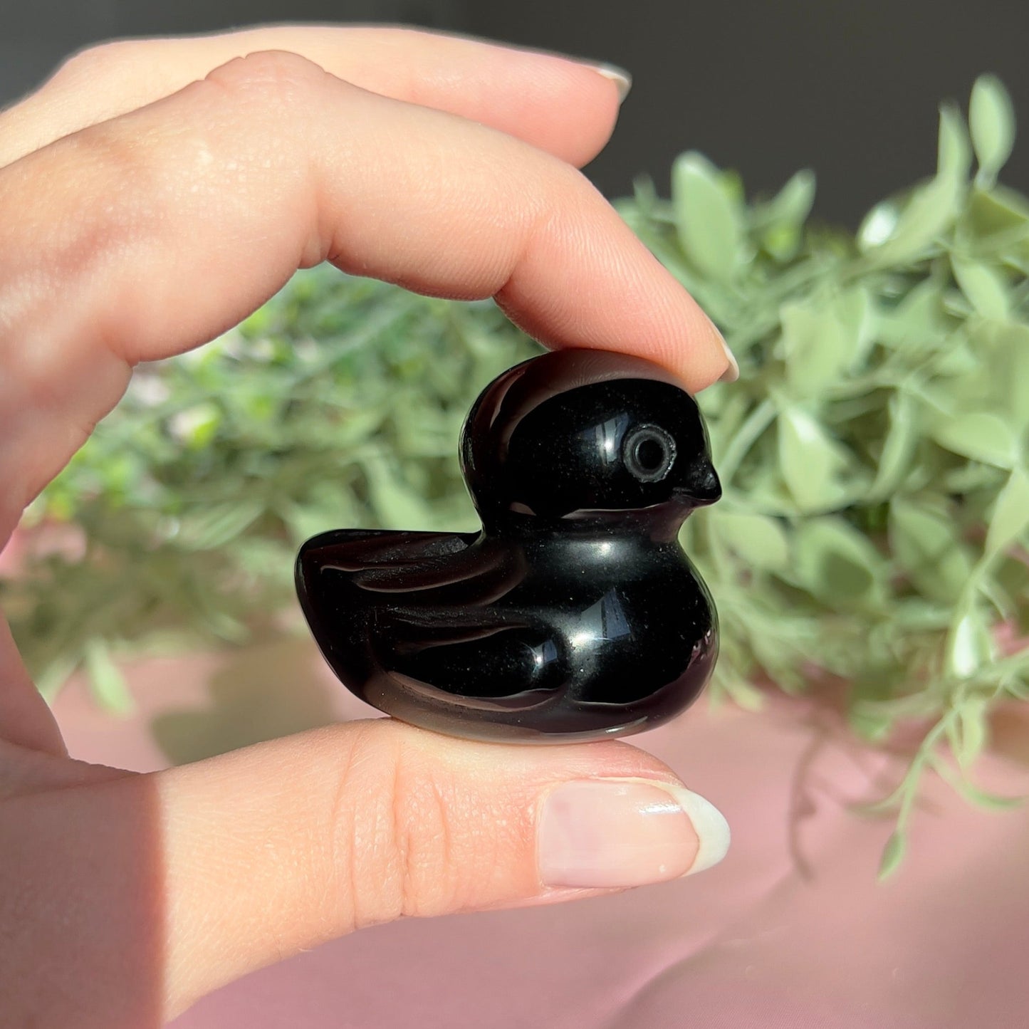 Black Obsidian Duck