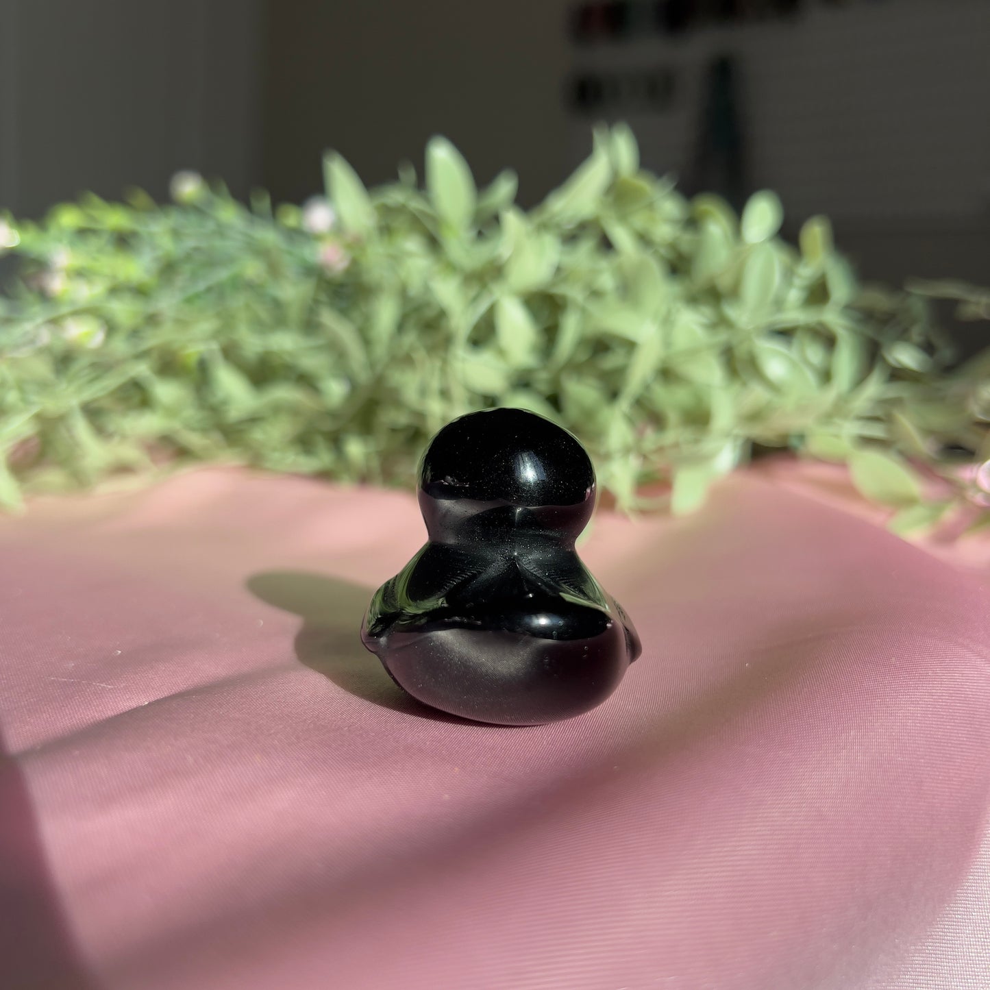 Black Obsidian Duck