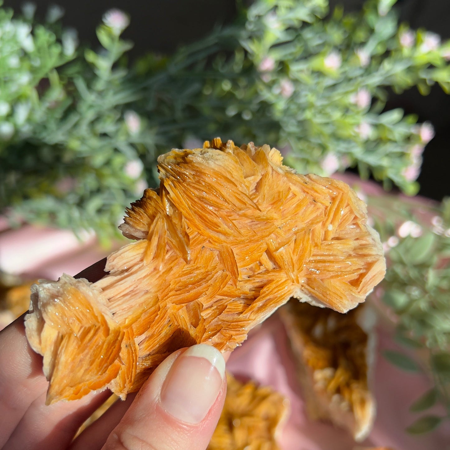 Orange and Pink Barite Cluster from the Mibladen mining district of Midelt in Morocco