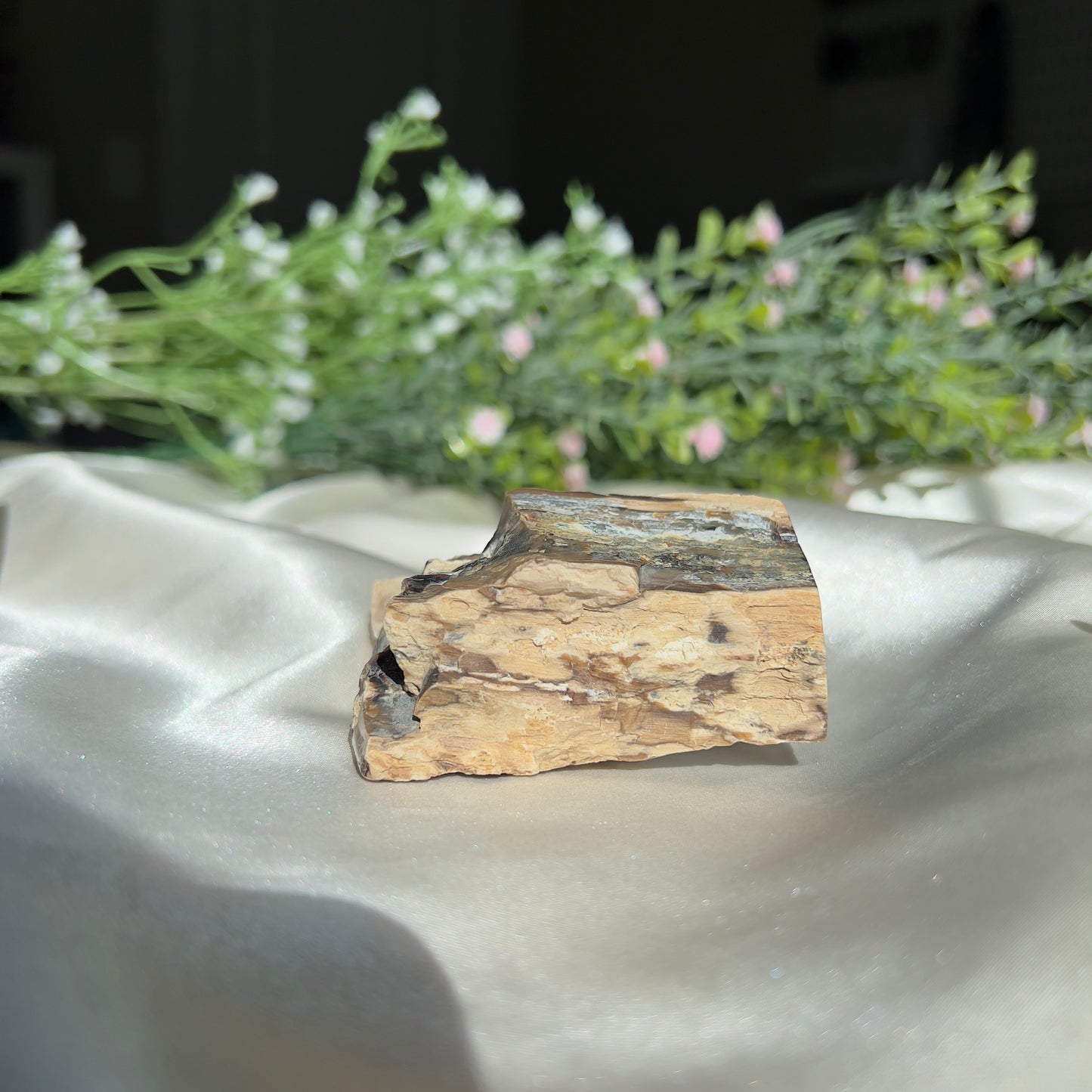 Polished by us: Petrified Wood from Washington, USA