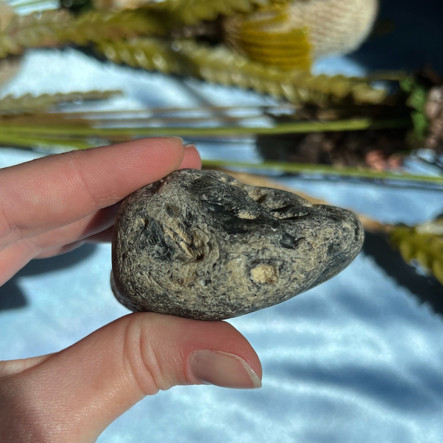 Montana Agate With Druzy, Polished End Half, Locally Sourced, Lapidary Rough 4.6 oz, 131g